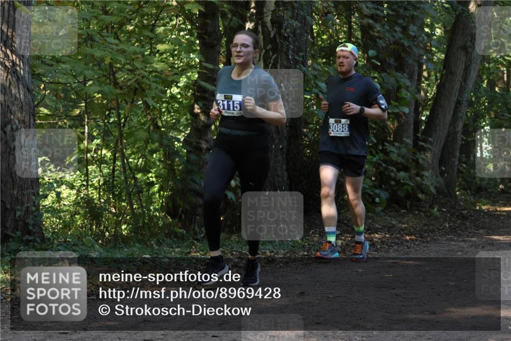 28.09.2025 - 33. Volkslauf durch das schöne Alstertal Strokosch-Dieckow http://msf.ph/oto/8969428 28.09.2025 11:27:34 Laufen 3115, 3088 meine-sportfotos.de