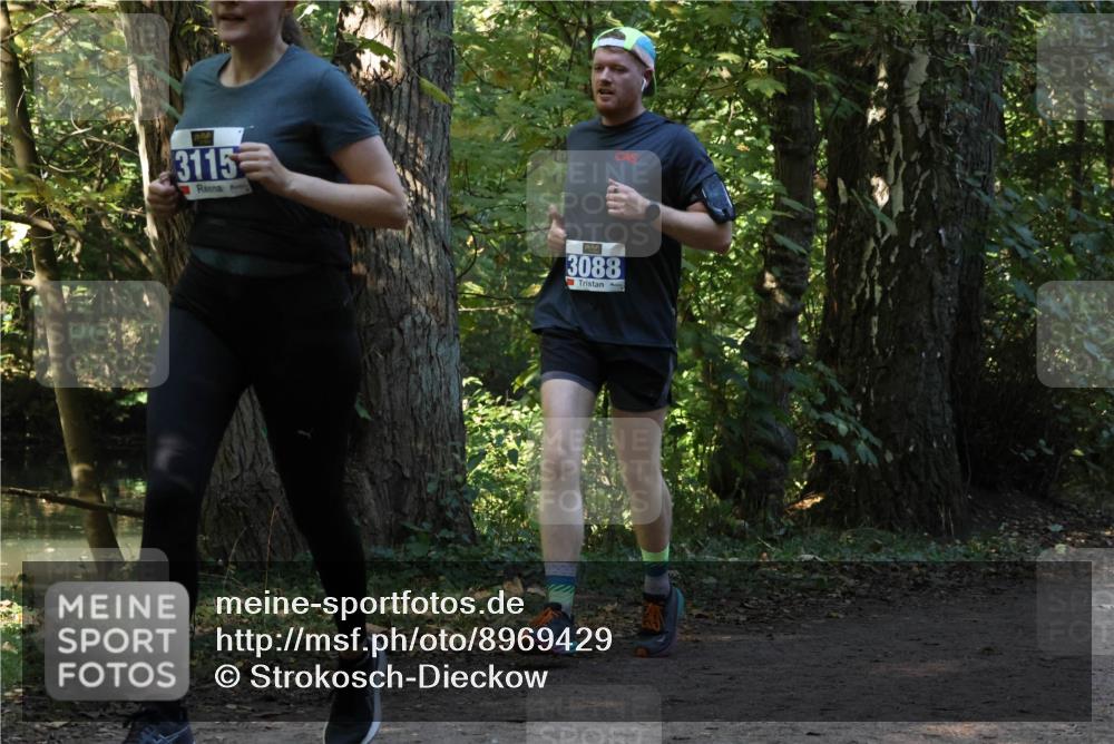 28.09.2025 - 33. Volkslauf durch das schöne Alstertal Strokosch-Dieckow http://msf.ph/oto/8969429 28.09.2025 11:27:36 Laufen 3115, 3088 meine-sportfotos.de