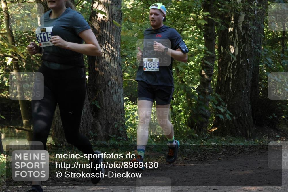 28.09.2025 - 33. Volkslauf durch das schöne Alstertal Strokosch-Dieckow http://msf.ph/oto/8969430 28.09.2025 11:27:36 Laufen 3115, 3088 meine-sportfotos.de
