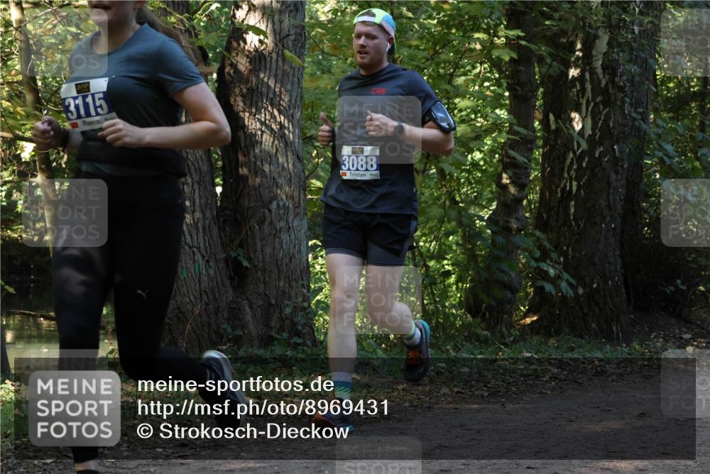 28.09.2025 - 33. Volkslauf durch das schöne Alstertal Strokosch-Dieckow http://msf.ph/oto/8969431 28.09.2025 11:27:36 Laufen 3115, 3088 meine-sportfotos.de