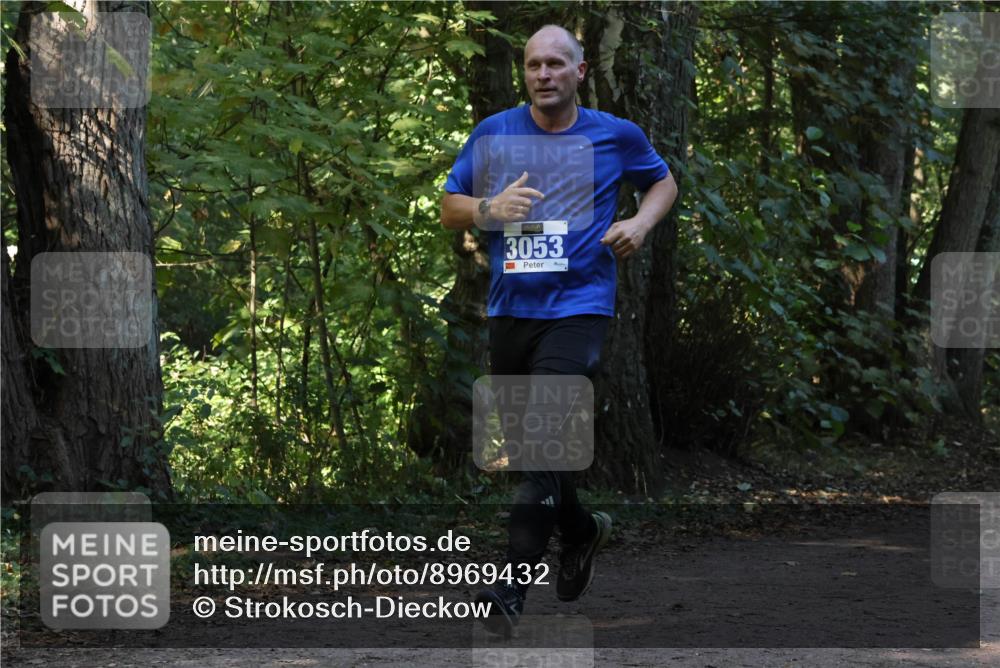 28.09.2025 - 33. Volkslauf durch das schöne Alstertal Strokosch-Dieckow http://msf.ph/oto/8969432 28.09.2025 11:27:43 Laufen 3053 meine-sportfotos.de