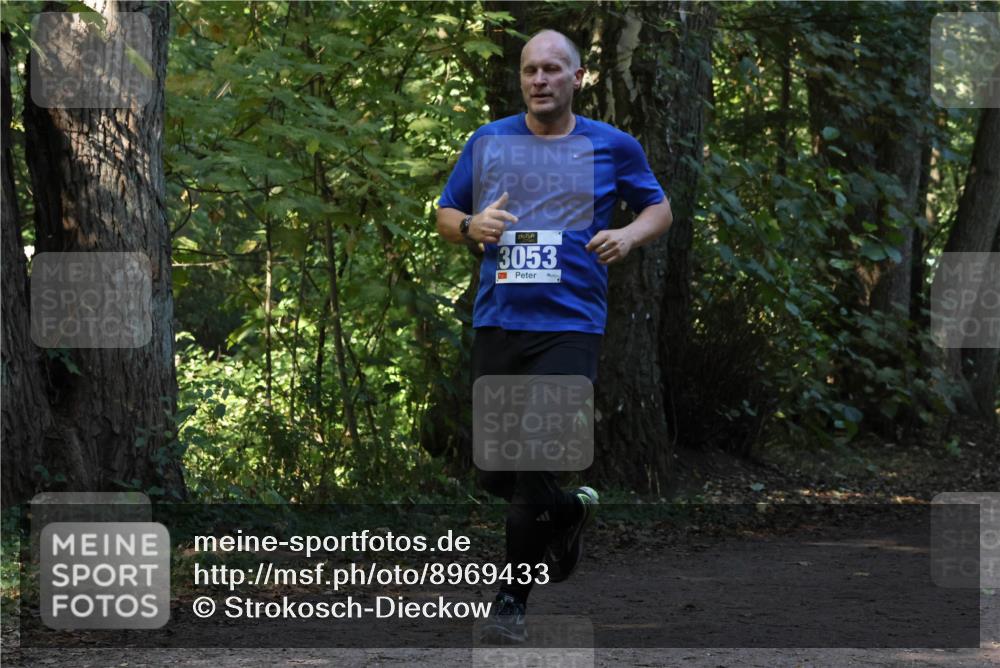 28.09.2025 - 33. Volkslauf durch das schöne Alstertal Strokosch-Dieckow http://msf.ph/oto/8969433 28.09.2025 11:27:43 Laufen 3053 meine-sportfotos.de