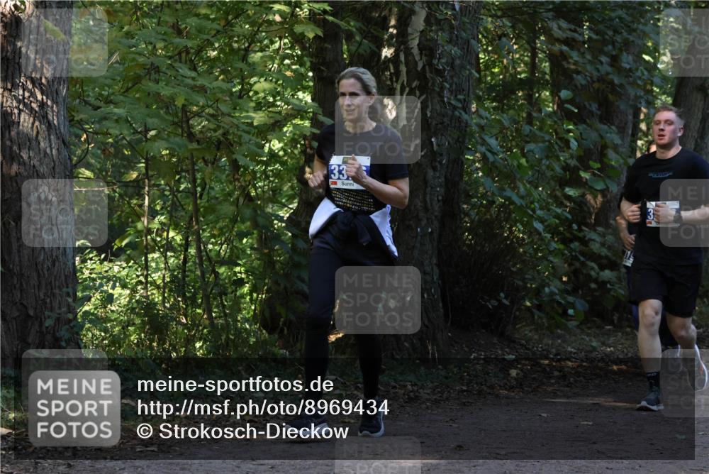28.09.2025 - 33. Volkslauf durch das schöne Alstertal Strokosch-Dieckow http://msf.ph/oto/8969434 28.09.2025 11:27:47 Laufen 33 meine-sportfotos.de