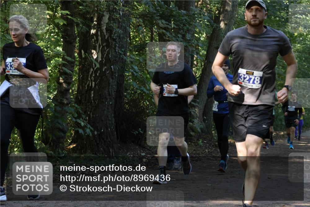 28.09.2025 - 33. Volkslauf durch das schöne Alstertal Strokosch-Dieckow http://msf.ph/oto/8969436 28.09.2025 11:27:48 Laufen 33, 3278, 3950 meine-sportfotos.de