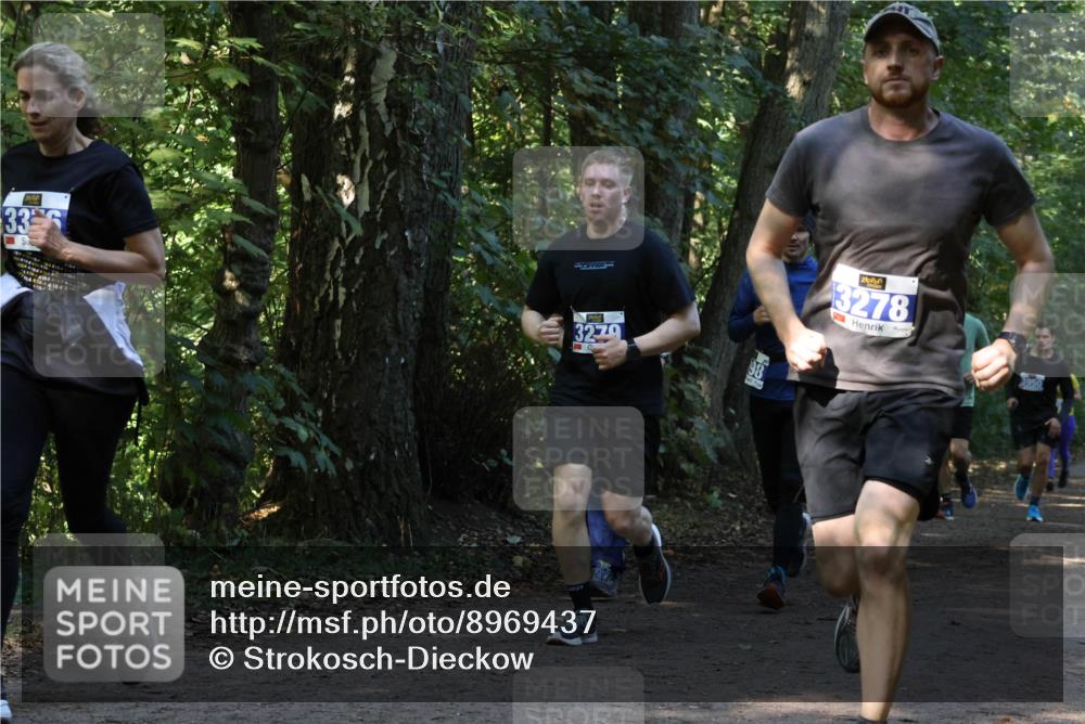 28.09.2025 - 33. Volkslauf durch das schöne Alstertal Strokosch-Dieckow http://msf.ph/oto/8969437 28.09.2025 11:27:48 Laufen 33, 4, 41, 3279, 98, 3278, 3950 meine-sportfotos.de