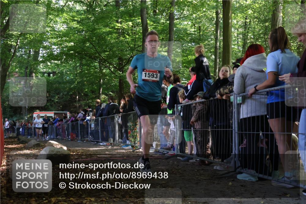 28.09.2025 - 33. Volkslauf durch das schöne Alstertal Strokosch-Dieckow http://msf.ph/oto/8969438 28.09.2025 11:50:10 Ziel 1593, 3389, 3390 meine-sportfotos.de