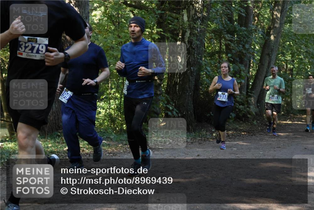 28.09.2025 - 33. Volkslauf durch das schöne Alstertal Strokosch-Dieckow http://msf.ph/oto/8969439 28.09.2025 11:27:50 Laufen 3279, 199, 3318, 3950, 3189 meine-sportfotos.de