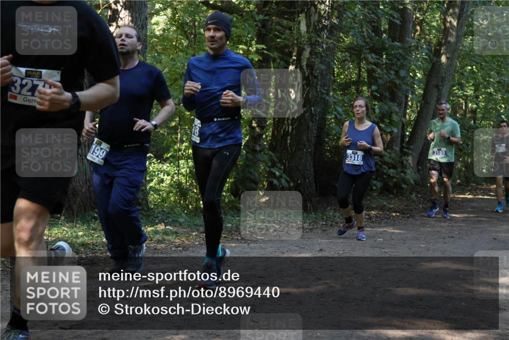 28.09.2025 - 33. Volkslauf durch das schöne Alstertal Strokosch-Dieckow http://msf.ph/oto/8969440 28.09.2025 11:27:50 Laufen 327, 199, 3189, 3318 meine-sportfotos.de
