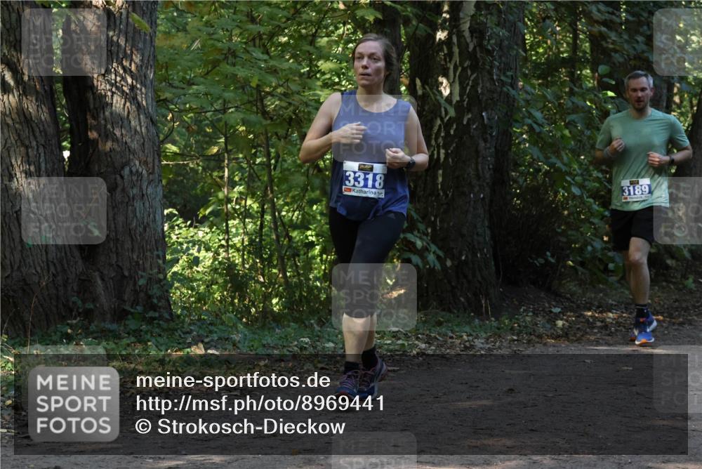 28.09.2025 - 33. Volkslauf durch das schöne Alstertal Strokosch-Dieckow http://msf.ph/oto/8969441 28.09.2025 11:27:51 Laufen 3318, 3189 meine-sportfotos.de