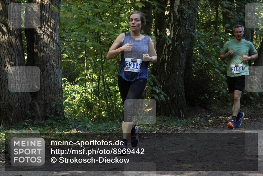 28.09.2025 - 33. Volkslauf durch das schöne Alstertal Strokosch-Dieckow http://msf.ph/oto/8969442 28.09.2025 11:27:52 Laufen 3318, 3189 meine-sportfotos.de