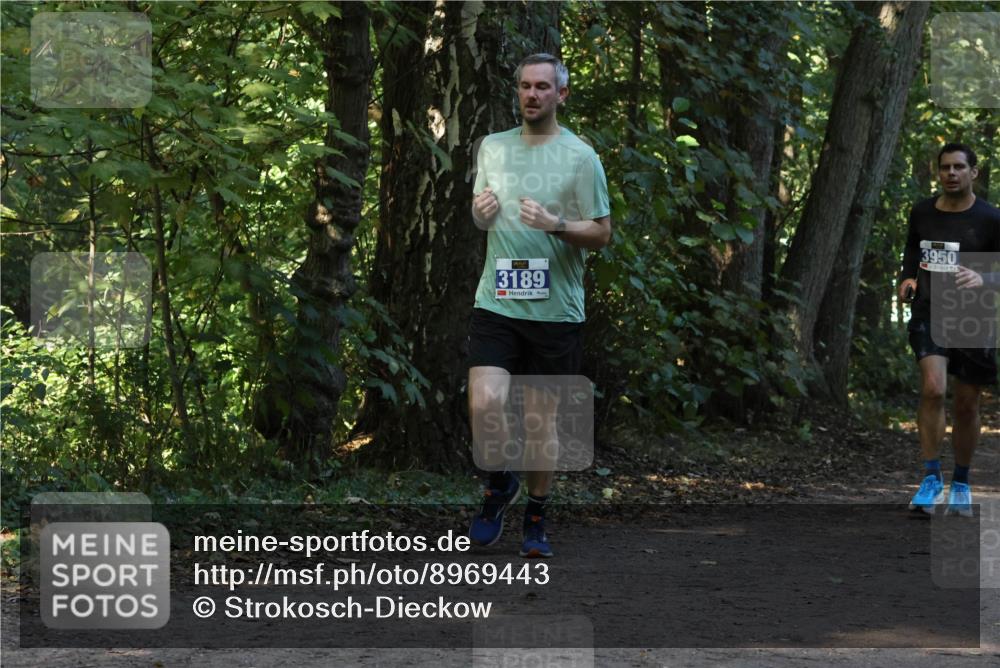 28.09.2025 - 33. Volkslauf durch das schöne Alstertal Strokosch-Dieckow http://msf.ph/oto/8969443 28.09.2025 11:27:52 Laufen 3189, 3950 meine-sportfotos.de