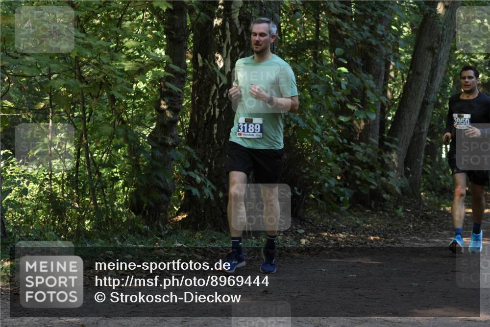28.09.2025 - 33. Volkslauf durch das schöne Alstertal Strokosch-Dieckow http://msf.ph/oto/8969444 28.09.2025 11:27:53 Laufen 3189, 3950 meine-sportfotos.de