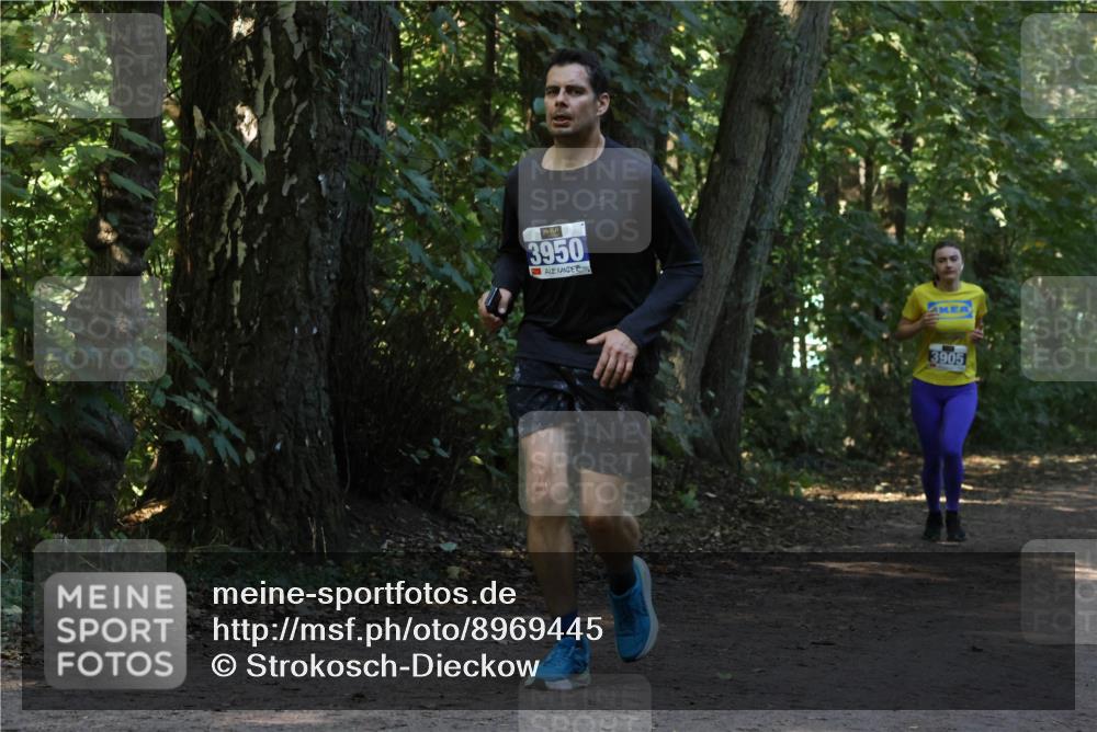 28.09.2025 - 33. Volkslauf durch das schöne Alstertal Strokosch-Dieckow http://msf.ph/oto/8969445 28.09.2025 11:27:54 Laufen 3950, 3905 meine-sportfotos.de