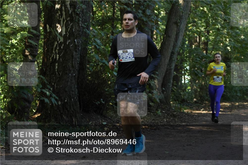 28.09.2025 - 33. Volkslauf durch das schöne Alstertal Strokosch-Dieckow http://msf.ph/oto/8969446 28.09.2025 11:27:54 Laufen 3950, 3905 meine-sportfotos.de