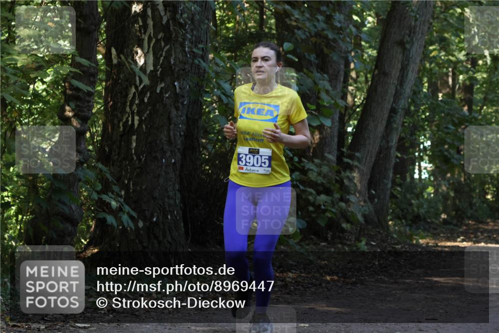 28.09.2025 - 33. Volkslauf durch das schöne Alstertal Strokosch-Dieckow http://msf.ph/oto/8969447 28.09.2025 11:27:58 Laufen 3905 meine-sportfotos.de