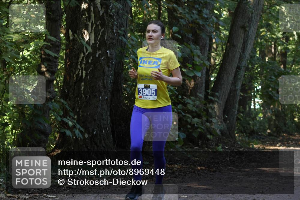 28.09.2025 - 33. Volkslauf durch das schöne Alstertal Strokosch-Dieckow http://msf.ph/oto/8969448 28.09.2025 11:27:58 Laufen 3905 meine-sportfotos.de