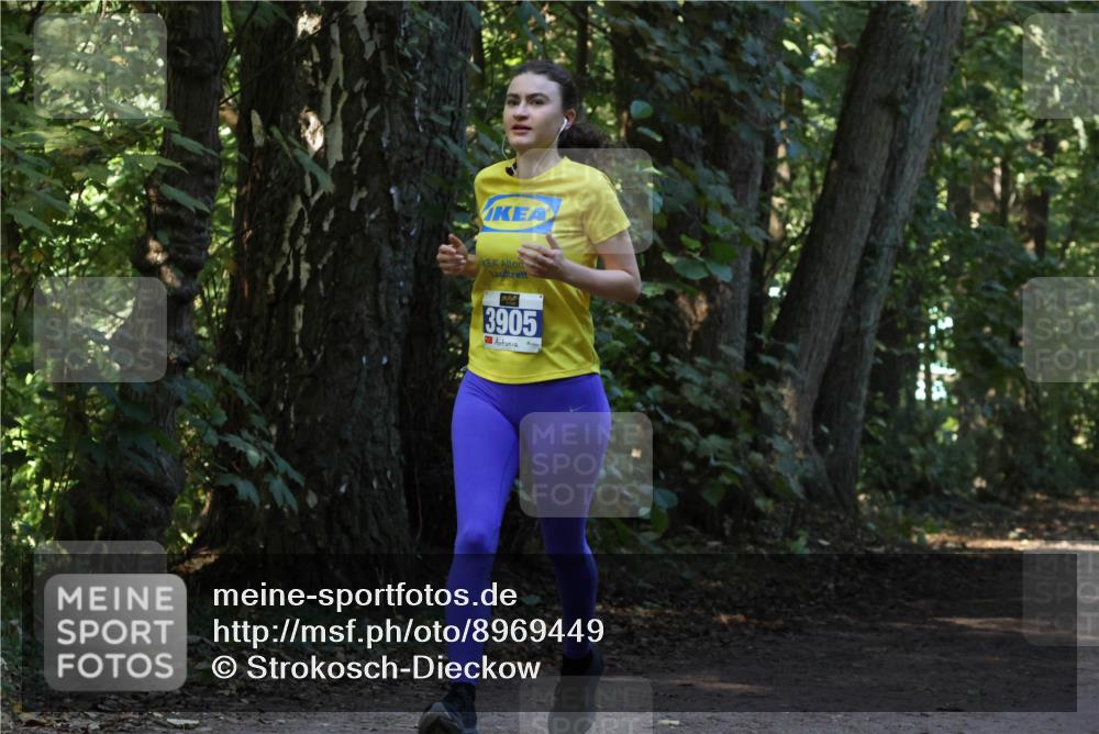 28.09.2025 - 33. Volkslauf durch das schöne Alstertal Strokosch-Dieckow http://msf.ph/oto/8969449 28.09.2025 11:27:58 Laufen 3905 meine-sportfotos.de