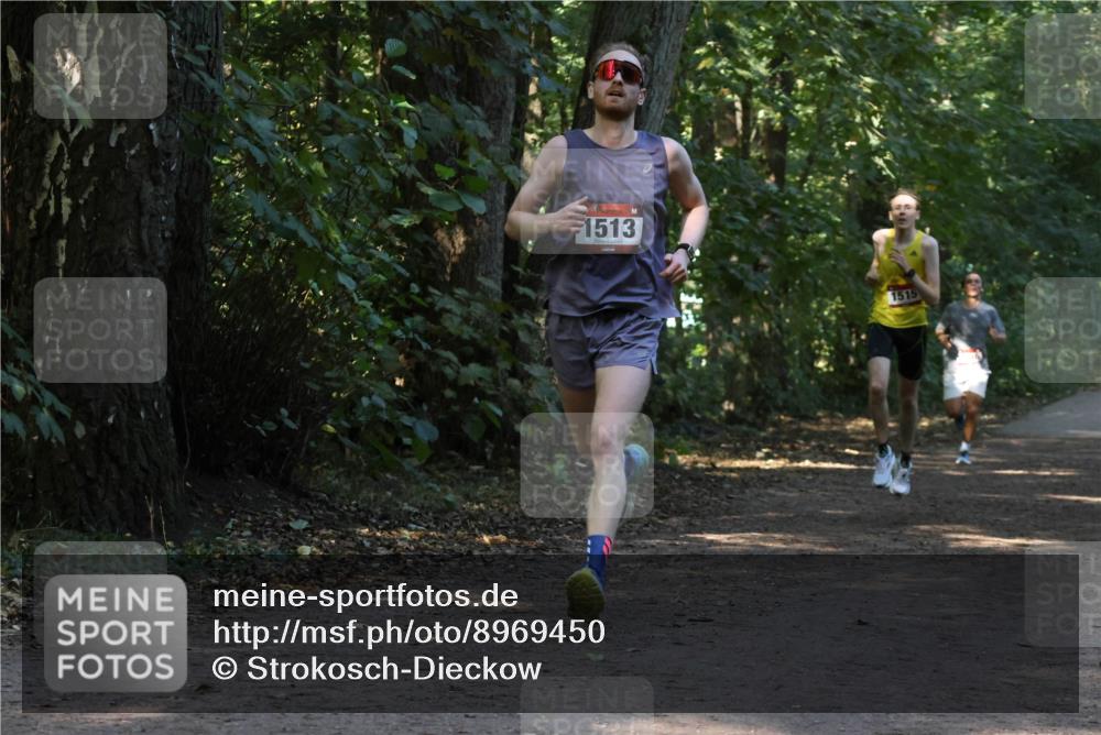 28.09.2025 - 33. Volkslauf durch das schöne Alstertal Strokosch-Dieckow http://msf.ph/oto/8969450 28.09.2025 11:28:02 Laufen 1513, 1515 meine-sportfotos.de