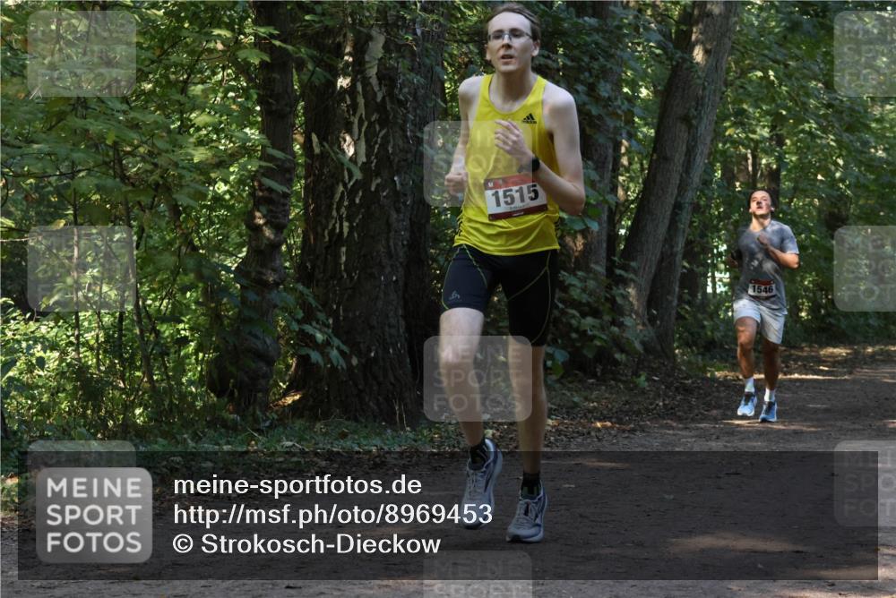 28.09.2025 - 33. Volkslauf durch das schöne Alstertal Strokosch-Dieckow http://msf.ph/oto/8969453 28.09.2025 11:28:07 Laufen 1515, 1546 meine-sportfotos.de