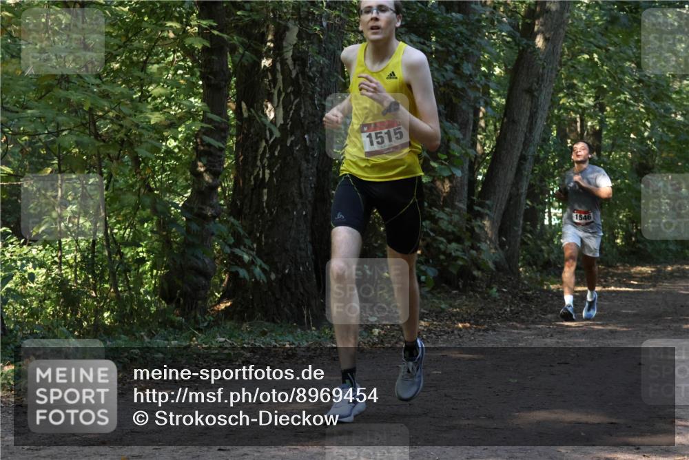 28.09.2025 - 33. Volkslauf durch das schöne Alstertal Strokosch-Dieckow http://msf.ph/oto/8969454 28.09.2025 11:28:07 Laufen 1515, 1546 meine-sportfotos.de