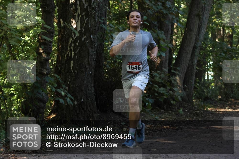 28.09.2025 - 33. Volkslauf durch das schöne Alstertal Strokosch-Dieckow http://msf.ph/oto/8969455 28.09.2025 11:28:09 Laufen 1546 meine-sportfotos.de