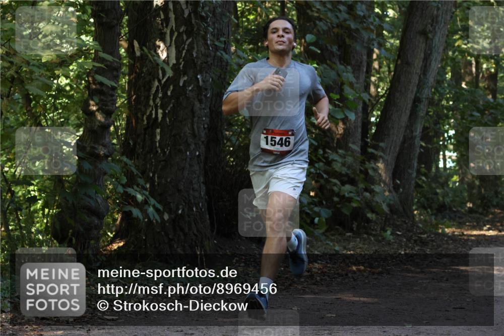 28.09.2025 - 33. Volkslauf durch das schöne Alstertal Strokosch-Dieckow http://msf.ph/oto/8969456 28.09.2025 11:28:09 Laufen 1546 meine-sportfotos.de