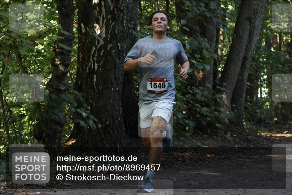 28.09.2025 - 33. Volkslauf durch das schöne Alstertal Strokosch-Dieckow http://msf.ph/oto/8969457 28.09.2025 11:28:09 Laufen 1546 meine-sportfotos.de