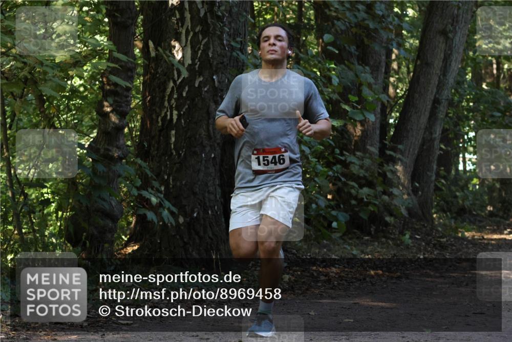 28.09.2025 - 33. Volkslauf durch das schöne Alstertal Strokosch-Dieckow http://msf.ph/oto/8969458 28.09.2025 11:28:09 Laufen 1546 meine-sportfotos.de