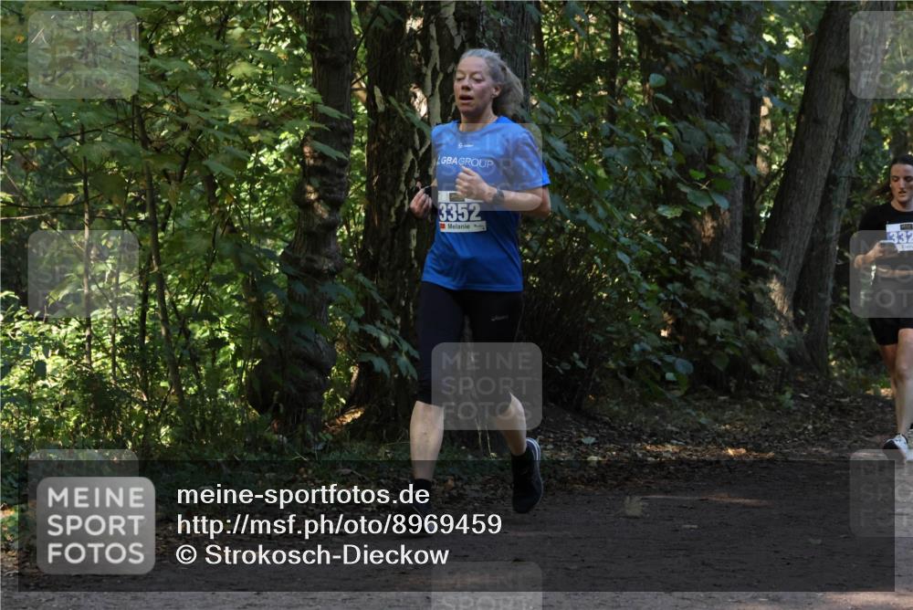 28.09.2025 - 33. Volkslauf durch das schöne Alstertal Strokosch-Dieckow http://msf.ph/oto/8969459 28.09.2025 11:28:20 Laufen 3352, 332 meine-sportfotos.de
