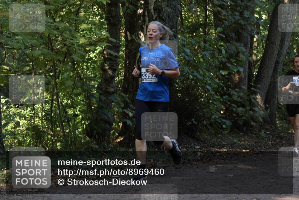 28.09.2025 - 33. Volkslauf durch das schöne Alstertal Strokosch-Dieckow http://msf.ph/oto/8969460 28.09.2025 11:28:20 Laufen 3352 meine-sportfotos.de