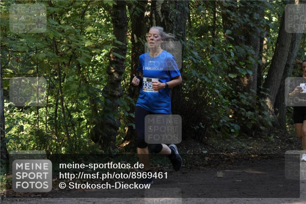 28.09.2025 - 33. Volkslauf durch das schöne Alstertal Strokosch-Dieckow http://msf.ph/oto/8969461 28.09.2025 11:28:20 Laufen 335 meine-sportfotos.de