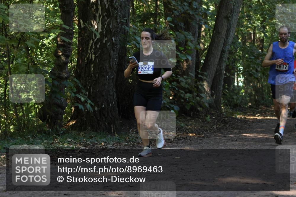 28.09.2025 - 33. Volkslauf durch das schöne Alstertal Strokosch-Dieckow http://msf.ph/oto/8969463 28.09.2025 11:28:22 Laufen 3322, 1517 meine-sportfotos.de