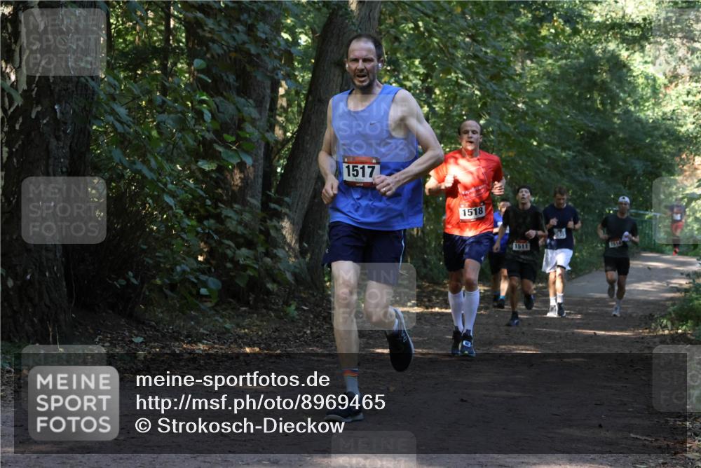 28.09.2025 - 33. Volkslauf durch das schöne Alstertal Strokosch-Dieckow http://msf.ph/oto/8969465 28.09.2025 11:28:23 Laufen 1517, 1518, 1511, 1514 meine-sportfotos.de