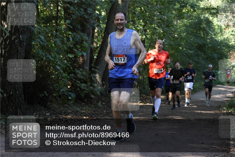 28.09.2025 - 33. Volkslauf durch das schöne Alstertal Strokosch-Dieckow http://msf.ph/oto/8969466 28.09.2025 11:28:23 Laufen 1517, 1518, 1511, 1514 meine-sportfotos.de