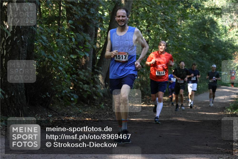 28.09.2025 - 33. Volkslauf durch das schöne Alstertal Strokosch-Dieckow http://msf.ph/oto/8969467 28.09.2025 11:28:23 Laufen 1517, 1518, 1511 meine-sportfotos.de