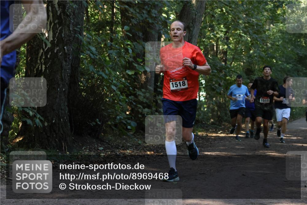 28.09.2025 - 33. Volkslauf durch das schöne Alstertal Strokosch-Dieckow http://msf.ph/oto/8969468 28.09.2025 11:28:25 Laufen 1518, 3233, 1511 meine-sportfotos.de