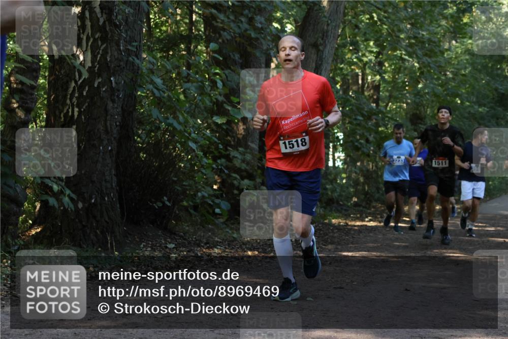28.09.2025 - 33. Volkslauf durch das schöne Alstertal Strokosch-Dieckow http://msf.ph/oto/8969469 28.09.2025 11:28:25 Laufen 1518, 3233, 1511 meine-sportfotos.de