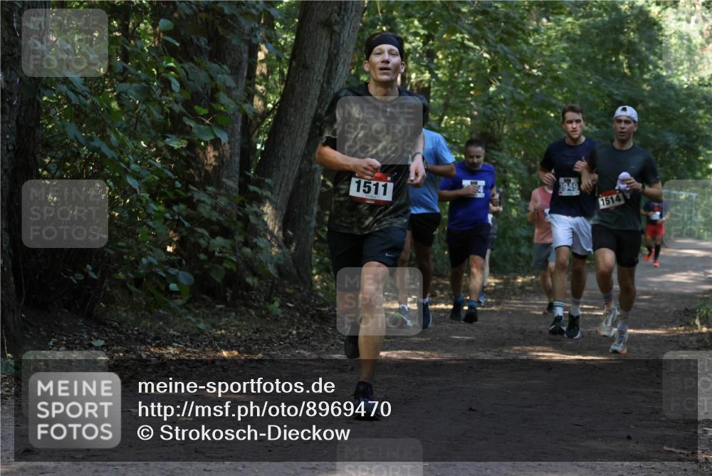 28.09.2025 - 33. Volkslauf durch das schöne Alstertal Strokosch-Dieckow http://msf.ph/oto/8969470 28.09.2025 11:28:28 Laufen 1511, 1514 meine-sportfotos.de