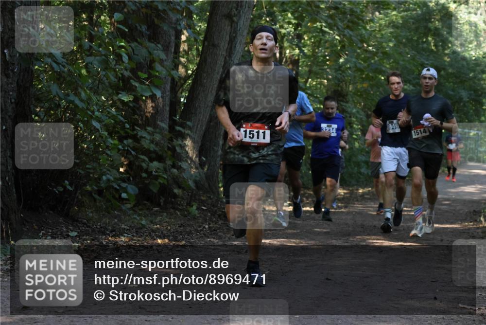 28.09.2025 - 33. Volkslauf durch das schöne Alstertal Strokosch-Dieckow http://msf.ph/oto/8969471 28.09.2025 11:28:28 Laufen 1511, 3234, 3949, 1514 meine-sportfotos.de