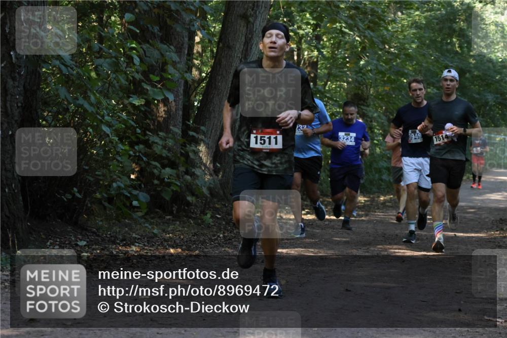 28.09.2025 - 33. Volkslauf durch das schöne Alstertal Strokosch-Dieckow http://msf.ph/oto/8969472 28.09.2025 11:28:28 Laufen 1511, 3234, 3949, 1514 meine-sportfotos.de