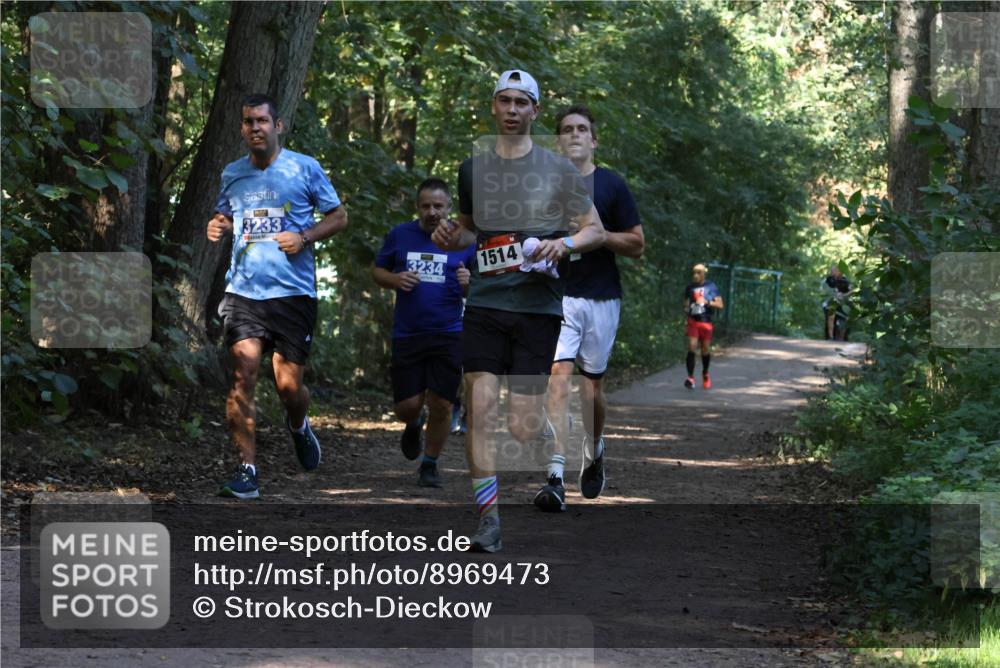 28.09.2025 - 33. Volkslauf durch das schöne Alstertal Strokosch-Dieckow http://msf.ph/oto/8969473 28.09.2025 11:28:29 Laufen 3233, 3234, 1514 meine-sportfotos.de