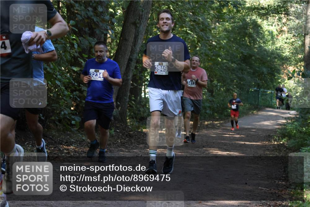 28.09.2025 - 33. Volkslauf durch das schöne Alstertal Strokosch-Dieckow http://msf.ph/oto/8969475 28.09.2025 11:28:32 Laufen 4, 3234, 3949, 3413 meine-sportfotos.de