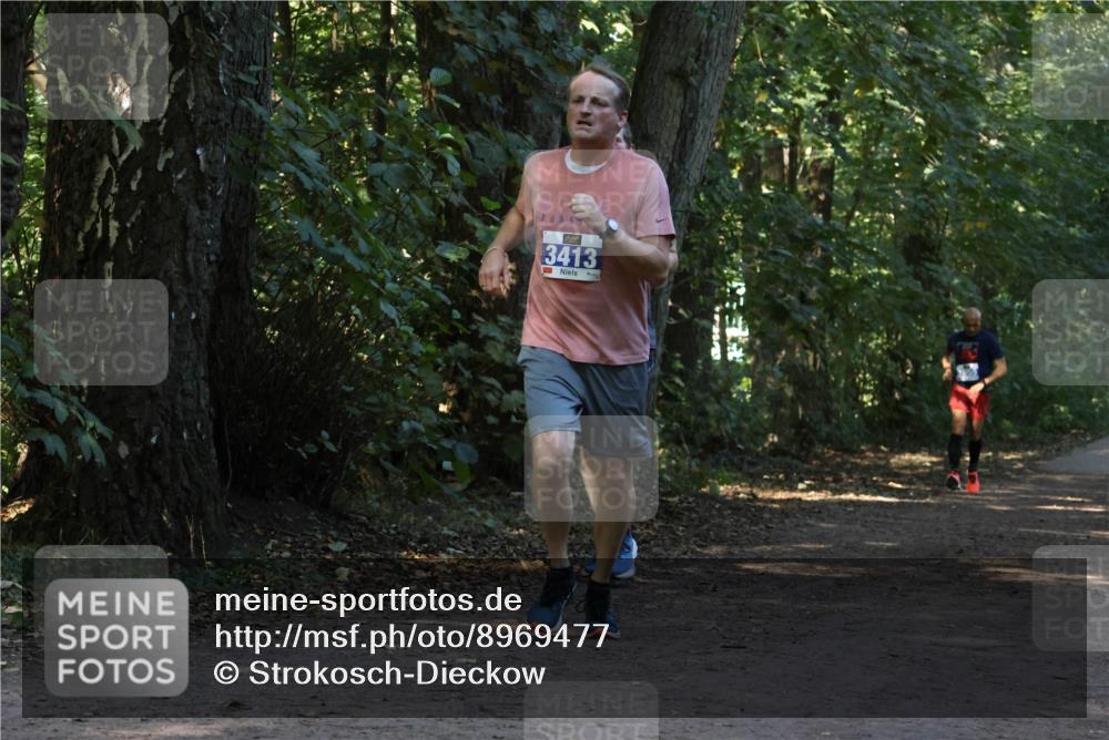 28.09.2025 - 33. Volkslauf durch das schöne Alstertal Strokosch-Dieckow http://msf.ph/oto/8969477 28.09.2025 11:28:35 Laufen 3413 meine-sportfotos.de