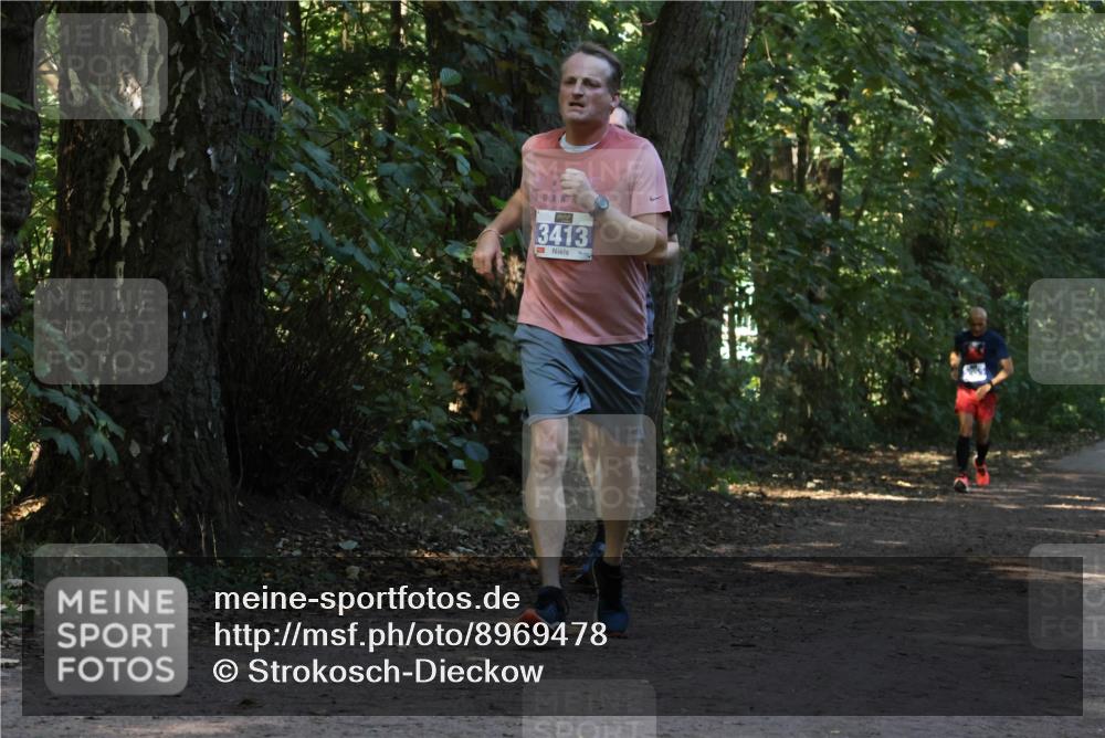 28.09.2025 - 33. Volkslauf durch das schöne Alstertal Strokosch-Dieckow http://msf.ph/oto/8969478 28.09.2025 11:28:35 Laufen 3413 meine-sportfotos.de