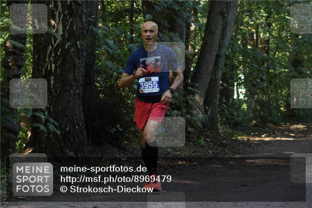 28.09.2025 - 33. Volkslauf durch das schöne Alstertal Strokosch-Dieckow http://msf.ph/oto/8969479 28.09.2025 11:28:44 Laufen 3955 meine-sportfotos.de