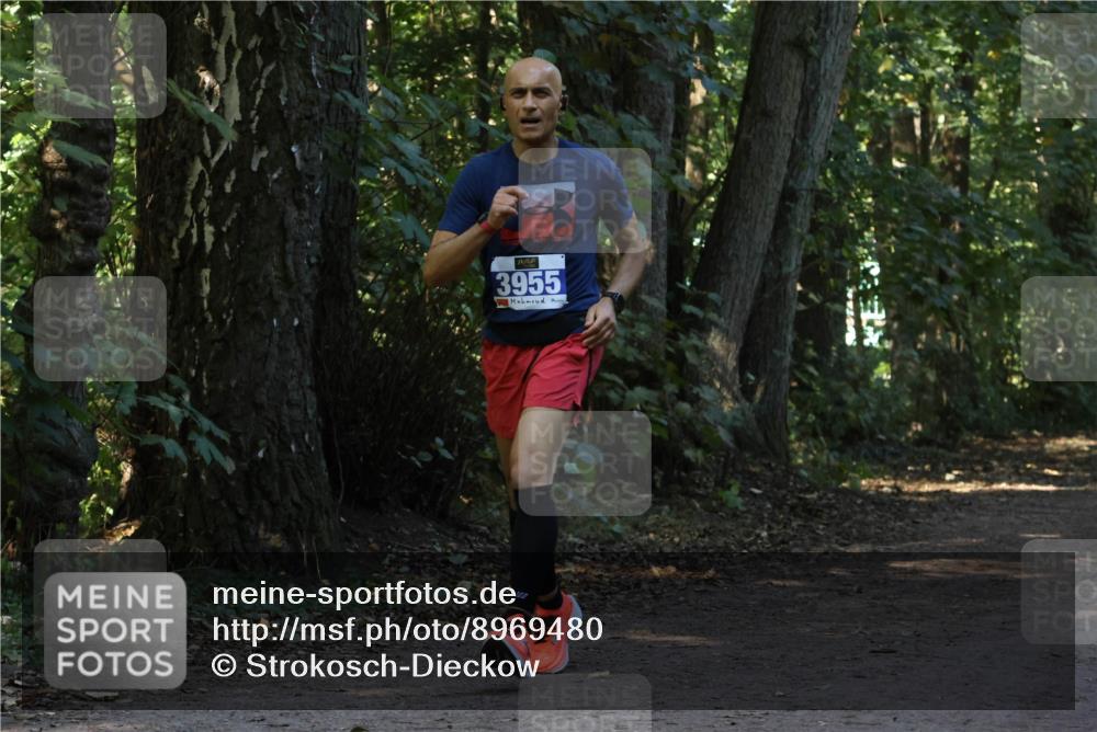 28.09.2025 - 33. Volkslauf durch das schöne Alstertal Strokosch-Dieckow http://msf.ph/oto/8969480 28.09.2025 11:28:44 Laufen 3955, 122 meine-sportfotos.de