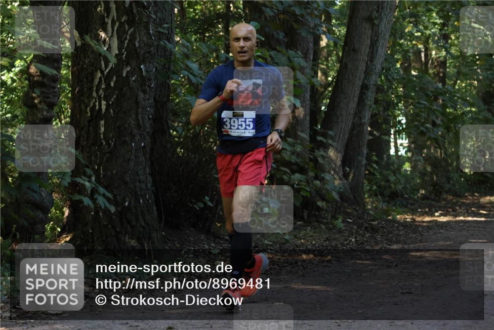 28.09.2025 - 33. Volkslauf durch das schöne Alstertal Strokosch-Dieckow http://msf.ph/oto/8969481 28.09.2025 11:28:44 Laufen 3955 meine-sportfotos.de