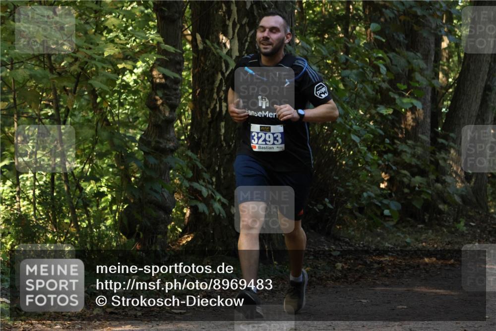 28.09.2025 - 33. Volkslauf durch das schöne Alstertal Strokosch-Dieckow http://msf.ph/oto/8969483 28.09.2025 11:28:53 Laufen 3293 meine-sportfotos.de