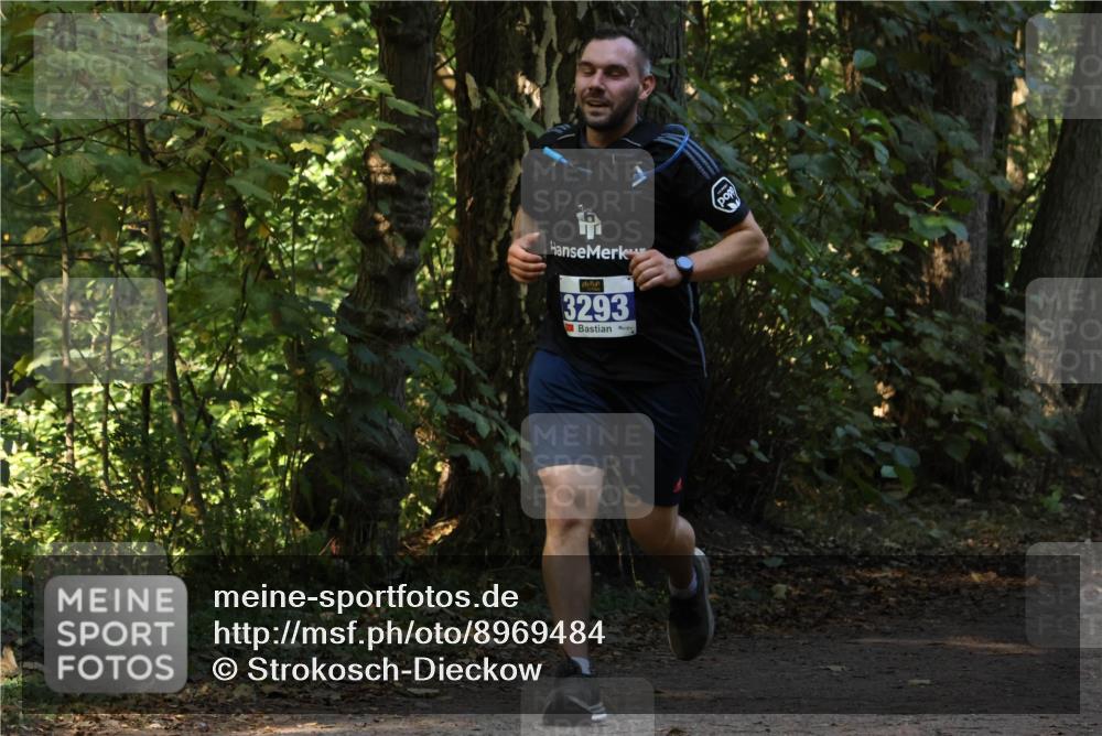 28.09.2025 - 33. Volkslauf durch das schöne Alstertal Strokosch-Dieckow http://msf.ph/oto/8969484 28.09.2025 11:28:53 Laufen 3293 meine-sportfotos.de