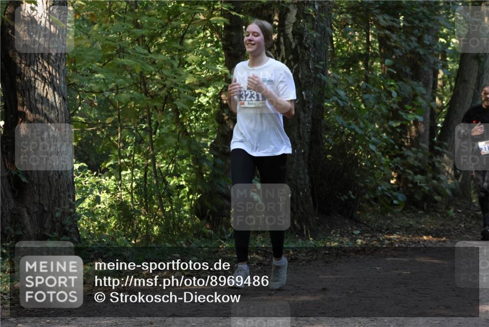 28.09.2025 - 33. Volkslauf durch das schöne Alstertal Strokosch-Dieckow http://msf.ph/oto/8969486 28.09.2025 11:28:57 Laufen 3231, 31 meine-sportfotos.de